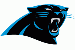 Panthers logo